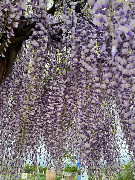 23-05-16 12-06-32 5395.jpeg